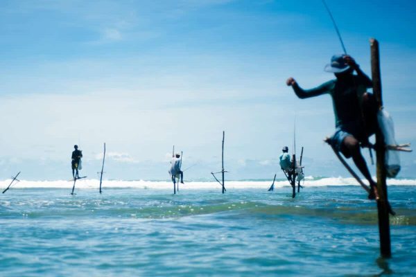 Beauty of Sri Lanka Holiday Package