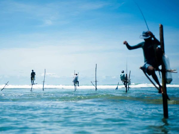 Beauty of Sri Lanka Holiday Package